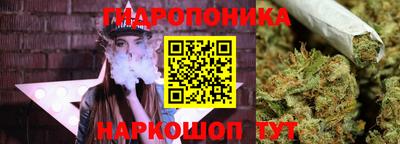 шишки Рыбинск