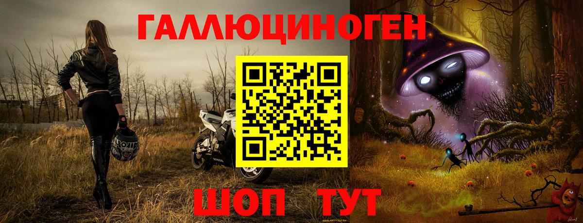 Псилоцибиновые грибы Psilocybine cubensis Саров